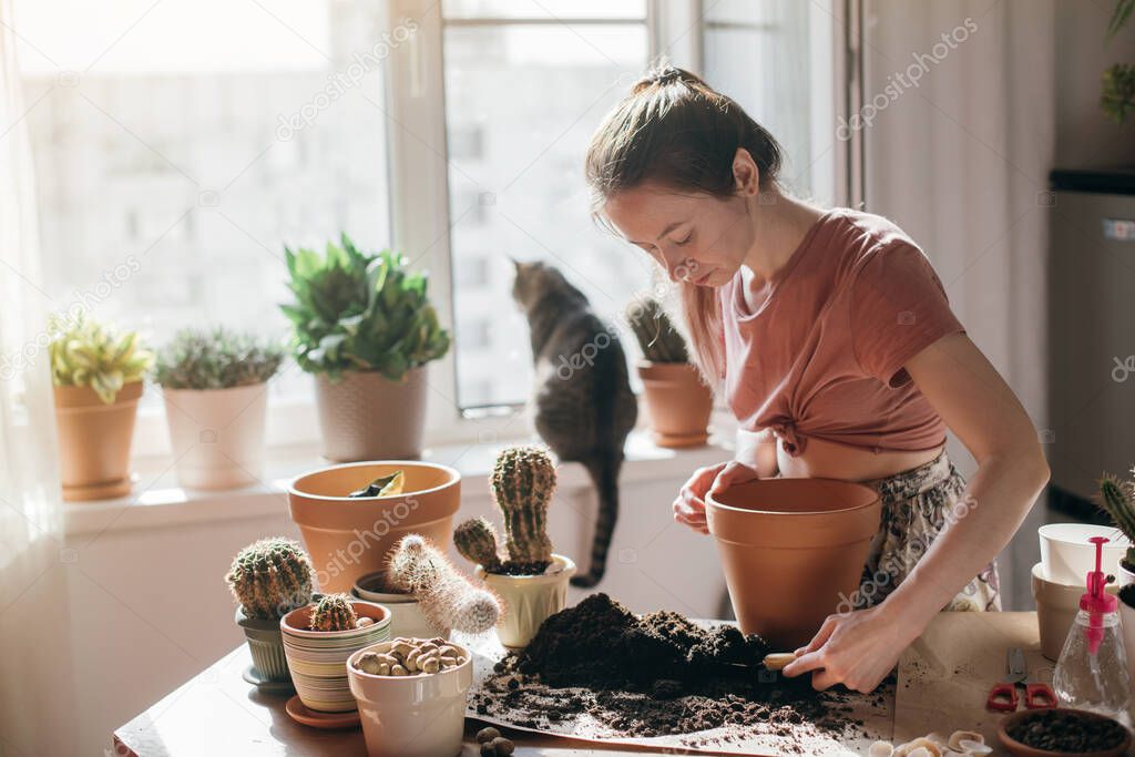 Young woman transplant cacti at home. Beautiful girl at work with house plants in the apartment. Spring potted flower care. The cat lies on the windowsill