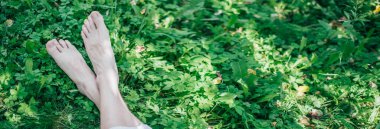 Yeşil çimlerin üzerinde çıplak erkek bacakları. Taze yaz yeşilliklerinde ve çiçeklerde bacakların yakınlaşması.