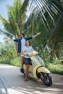 Erkekler tropik bir adada palmiye ağaçlarında motosiklet sürerken eğlenirler. Turistler palmiye bahçesinde bisiklet sürmekten hoşlanırlar.