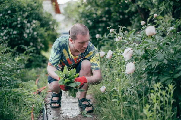 Człowiek Pracuje Ogrodzie Latając Chwastami Pielęgnując Trawnik Młody Facet Jasnych — Zdjęcie stockowe