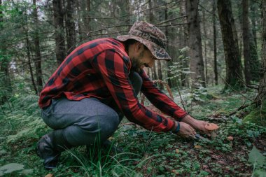 Geniş sepeti olan genç bir erkek mantar toplayıcısı ormanda mantar topluyor. Mantar toplama mevsimi.