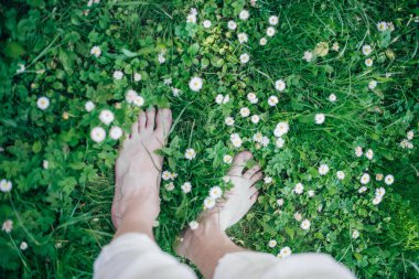 Yeşil çimlerin üzerinde çıplak erkek bacakları. Taze yaz yeşilliklerinde ve çiçeklerde bacakların yakınlaşması.