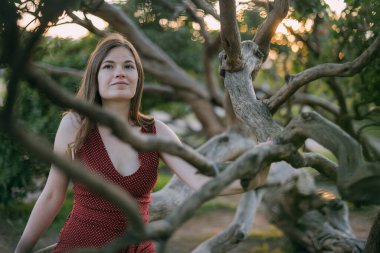 Yazın gün batımında bir ağacın dallarında parktaki güzel genç bir kadının portresi. Bir kız akşamüstü gün batımında leylak dallarına oturur.