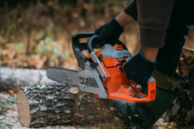 Bir adam elektrikli testereyle ağaç kesiyor. Genç bir adam çam ormanında çalışıyor, kış için odun topluyor. Bir oduncu ağaçların arasında testereyle bir sandık kesiyor..