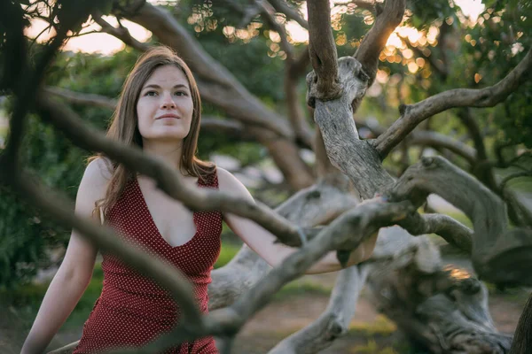 Ritratto Una Bella Giovane Donna Nel Parco Tra Rami Albero — Foto Stock