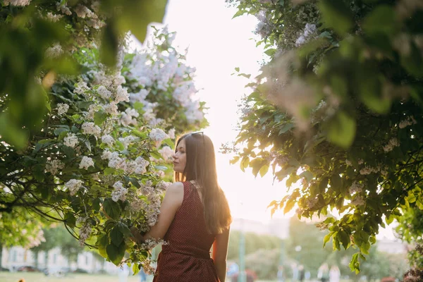 Portret Pięknej Młodej Kobiety Parku Fioletowych Gałęziach Zachodzie Słońca Lecie — Zdjęcie stockowe
