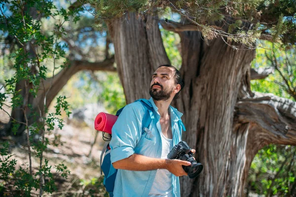카메라를 등산하는 사진사 배낭을 카메라를 잘생긴 나무들 사이를 하이킹하는 자연의 — 스톡 사진