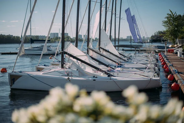 Yates Deportivos Vela Amarrados Muelle Día Soleado Muchos Yates Con — Foto de Stock