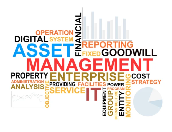 Asset management words cloud — Stock Vector