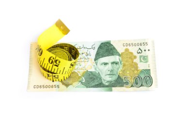 Pakistanlı beş yüz rupi closeup