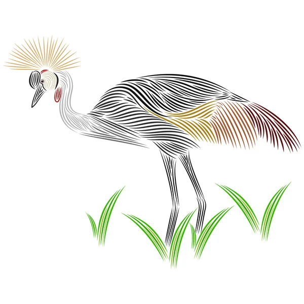 Grey crown crane — Stock Vector