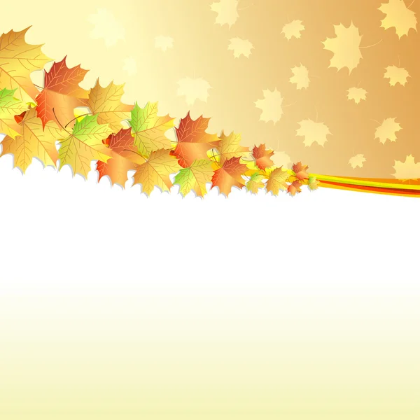 Latar belakang Maple daun musim gugur - Stok Vektor
