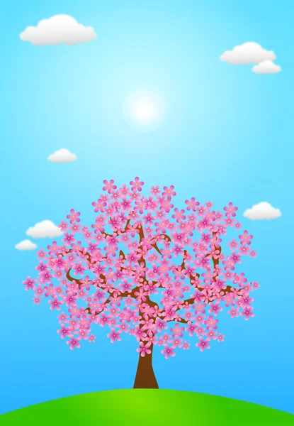 Spring Blossom — Stock Photo, Image