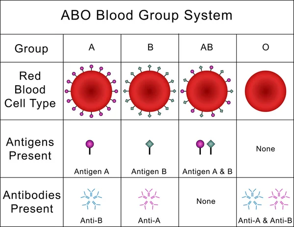 ABO blodgrupp System — Stockfoto