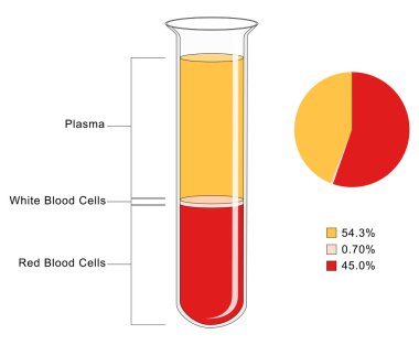 Blood Composition clipart