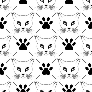 Yüz ve pençeleri seamless modeli kedi