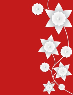 Kırmızı arkaplanda beyaz çiçekler