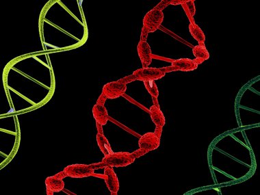 DNA Yapıları