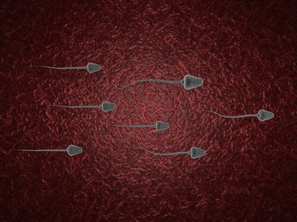 3D sperm hücresi — Stok fotoğraf