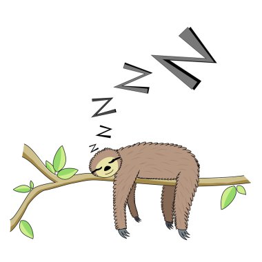 Cartoon sleeping sloth clipart
