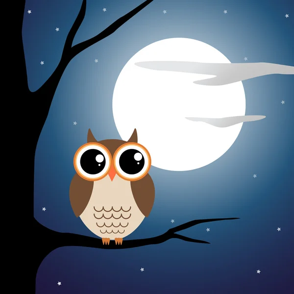 Owl sitting on a branch at night — Stock Photo, Image