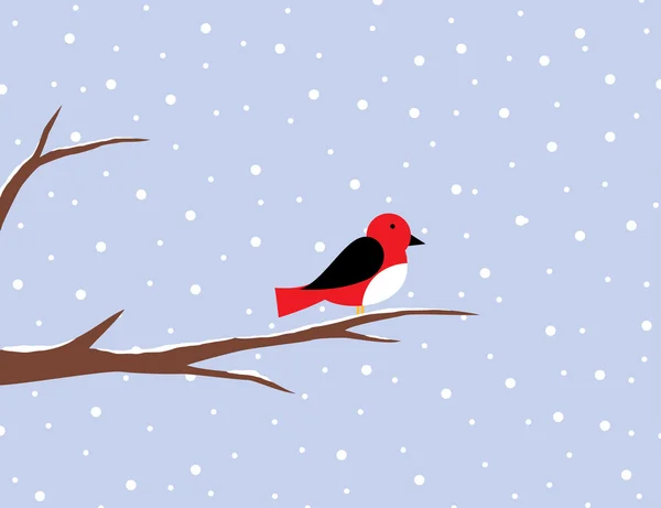 Red robin on a birch in snow — Stock Photo, Image