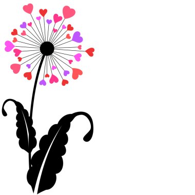 Kalp karahindiba yaprakları çiçek