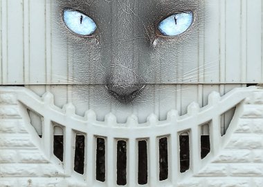 Mavi gözlü bir arabanın yüzünde gülümseme olan beton bir çit.