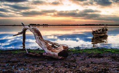 Gün doğumunda bir ağaç gövdesiyle bir kanalın kenarında manzara