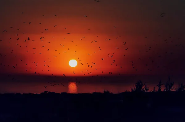 Zachód Słońca Nad Oceanem Jasnym Pomarańczowym Kolorze — Zdjęcie stockowe