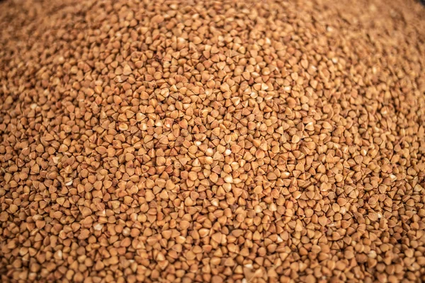 Buckwheat closeup background, texture — Stock Photo, Image