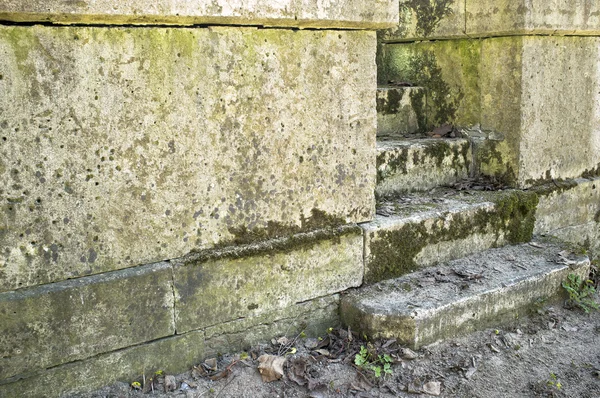 Eski yosunlu adımları kadar lider 