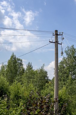 Arka plan ağaç üzerinde elektrik direği 