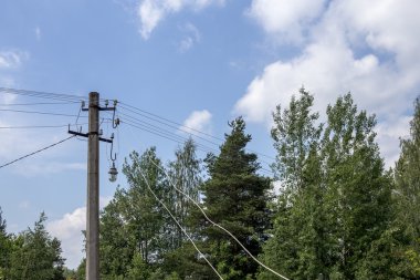 Arka plan ağaç üzerinde elektrik direği 