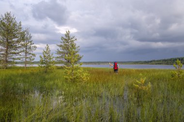 turistik bir sırt çantası ile seller bataklıktan gölüne yüzüyor.