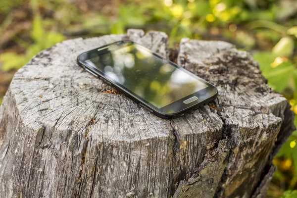 Cep telefonu yatıyor eski bir ağaç güdük bir köyde — Stok fotoğraf