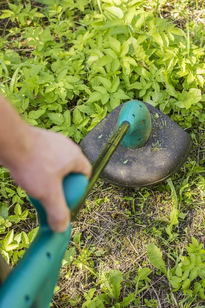 Man mows the grass trimmer electric garden — Stock Photo, Image