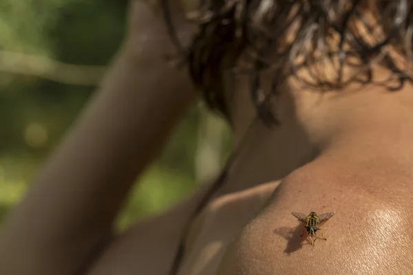 Hoverfly siede sulla sua spalla abbronzata ragazza primo piano — Foto Stock