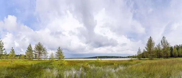 Vista panorámica con una orilla pantanosa cubierta del lago y la parte delantera — Foto de Stock