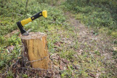 Yeni balta sıkışmış bir ağaç kütüğü arka plan taze yolu üzerinde içinde
