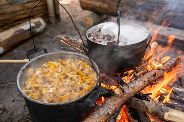 Μαγείρεμα φρέσκων, αυτοδιαλεγμένων μανιταριών σε δύο μπόουλερ, σε μια φωτιά, σε ένα κάμπινγκ, σε μια καλοκαιρινή μέρα. Τρόπος ζωής. — Φωτογραφία Αρχείου