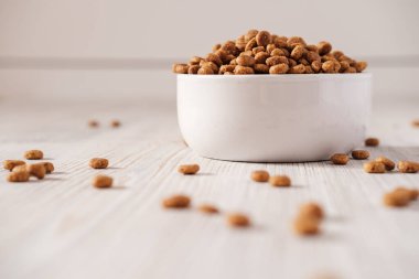 Kuru hayvan mamaları beyaz bir porselen kasede ve yere saçılmış.. 