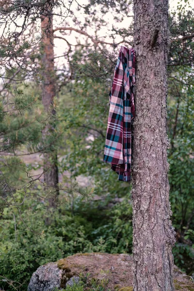 Chemise à carreaux oubliée et perdue accrochée à un pin dans la forêt, le camping. — Photo