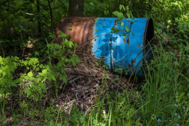 Fıçı atılmış ve terk edilmiş özel bir mülkte büyümüş. Çevreye karşı sorumsuz tavır kavramı.