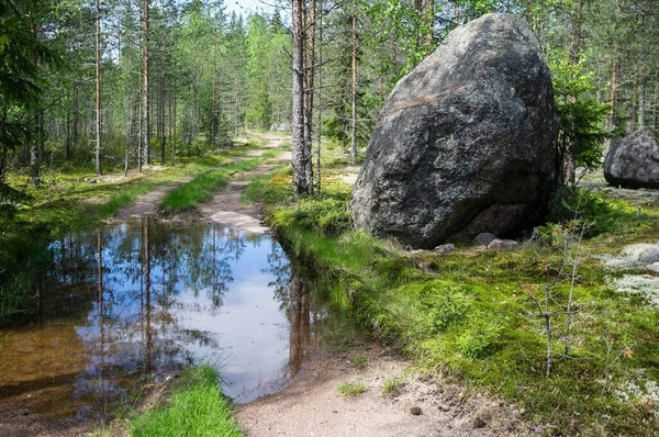 Eine sandige Straße mit einer großen Pfütze und Bäumen, in der sich der Himmel spiegelt, liegt an einem Sommertag im Wald. Schöne Landschaft. — Stockfoto