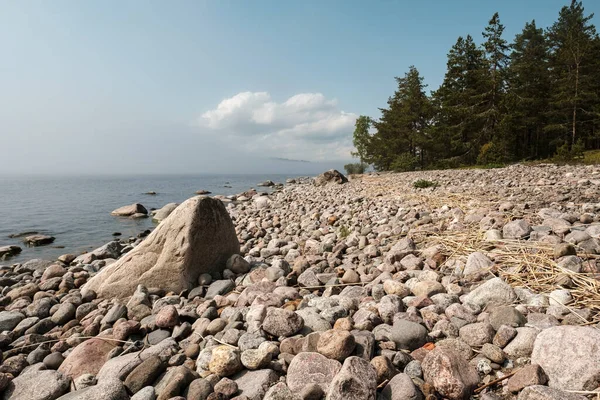 Vackert landskap. Stenkust och klart hav, mot bakgrund av blå himmel, moln och tallar, på en sommardag. — Stockfoto