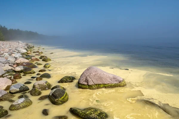 Bellissimo paesaggio all'alba. Mare pulito e calmo nella nebbia e sulla costa rocciosa in estate mattina. — Foto Stock