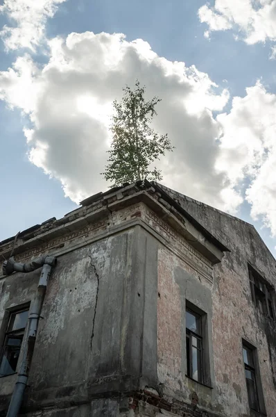 Ancien bâtiment abandonné délabré avec un arbre poussant sur le toit, sur fond de ciel et de nuages. — Photo