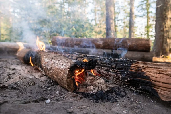 Campfire, smoldering logs and a small flame in the camp, in the forest, on a summer day. — Stock Photo, Image