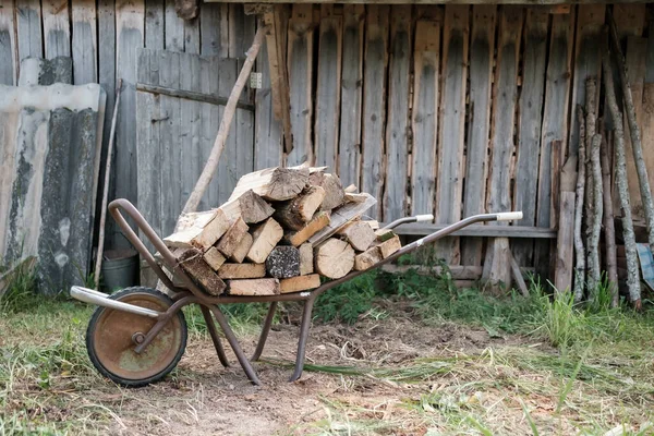 Hackad ved ligger på en rostig vagn, mot bakgrund av en gammal lada, på gården, på landsbygden. — Stockfoto